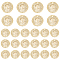 DICOSMETIC 40Pcs Vintage King's Head Coin Pendants Flat Round Golden Pendants Edward VII Head Pendants Commemorative Coins Charms Brass Round Charms Bulk for Jewelry Making, Hole: 1mm