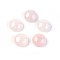 Natural Rose Quartz Cabochons, Half Round, 16x6.5~7mm