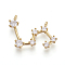 Brass Micro Pave Cubic Zirconia Pendants, Twelve Constellations, Golden, Leo, 15~16x25x3mm, Hole: 1.5mm