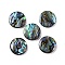 Natural Paua Shell Epoxy Resin Cabochons, Flat Round, 12.5x2.5mm