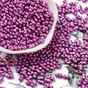 Выпечка краска стеклянные бусины SEED-L011-12A-12