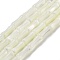 Natural Trochid Shell/Trochus Shell Beads Strands, Bamboo Joint, WhiteSmoke, 12x4.8mm, Hole: 0.6mm, about 33pcs/strand, 15.35''(39cm)