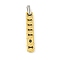 Ion Plating(IP) 304 Stainless Steel Pendants, with Rhinestone, Rectangle Charm, Golden, 35x6x3mm, Hole: 4x5mm