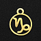 201 Stainless Steel Charms, Flat Round with Constellation, Golden, Capricorn, 13.4x10.8x1mm, Hole: 1.5mm