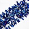 Electroplate Gemstone Natural Quartz Crystal Beads Strands, Nuggets, Blue Plated, Blue, 10~20x4~8x3~8mm, Hole: 1mm, about 25pcs/strand, 15.74 inch