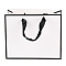 Rectangle Paper Bags, with Handles, for Gift Bags and Shopping Bags, White, 18x22x0.6cm
