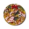 Transparent Christmas Themed Cellulose Acetate(Resin) Pendants, Flat Round Charms, Word Merry Christmas, 44x3mm, Hole: 1.8mm