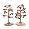 Natural Tourmaline Chips & Agate Pedestal Display Decorations, Tree of Life Healing Stone Tree, for Reiki Healing Crystals Chakra Balancing, Cadmium Free & Lead Free, 59~70x47~65x100~114mm
