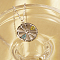 Elegant Stainless Steel Rhinestone Flat Round Orange Pendant Necklaces for Women, Perfect for Everyday Wear, Stainless Steel Color, show in picture