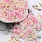 Glass Seed Beads, Opaque Colours Luster, Peanut, Pink, 6x3x3mm, Hole: 1.2mm