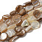 Natural Seashell Beads Strands, Nuggets, Sienna, 6.5~13x4.5~10x2~7.5mm, Hole: 0.7mm, about 45~48pcs/strand, 14.96~15.75''(38~40cm)
