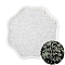 Luminous Glow in the Dark Cylinder Seed Beads, Spray Painted, White, 2.5mm, Hole: 1mm, about 700pcs/bag