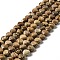 Natural Picture Jasper Beads Strands, Heart, 8~8.5x8~9x5mm, Hole: 1mm, about 50~51pcs/strand, 15.55~15.75''(39.5~40cm)