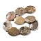 Natural Fossil Coral Beads Strands, Faceted, Oval, 44~48x34~37x9~11mm, Hole: 0.8~1.5mm, about 9pcs/strand, 15.7 inch(40cm)