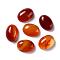 Oval Natural Carnelian Cabochons, Dyed & Heated, 20x15x6mm