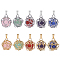 10Pcs 5 Styles Natural Green Aventurine & Rose Quartz & Lapis Lazuli & Amethyst & Carnelian Pendants, Round Charms with 304 Stainless Steel Findings, Platinum & Golden, 20x15x15mm, Hole: 5x2.5mm, 2pcs/style