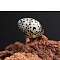 Natural Dalmatian Jasper Egg Figurines Statues for Home Office Desktop Decoration, 30x20mm