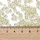 Бисер из стекла  SEED-L011-05B-06-4