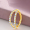 316 Surgical Stainless Steel Micro Pave Clear Cubic Zirconia 2 Line Hoop Cartilage Earrings, Golden, 6mm, Pin: 1.2mm