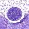 Spray Painted Glass Seed Beads, Peanut, Medium Slate Blue, 6~6.5x4x3mm, Hole: 1.4~1.5mm, about 4000pcs/pound
