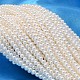 Круглые жемчуги из порошка раковины BSHE-L011-2.5mm-A013-1