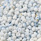 Выпечка краска стеклянные бусины SEED-F006-01A-02-3