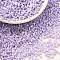 Cylinder Seed Beads, Opaque Colours Luster, Uniform Size, Plum, 2x1.3~1.5mm, Hole: 0.8~1mm, about 40000pcs/bag, 450g/bag