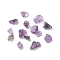 Natural Amethyst Beads, No Hole/Undrilled, Chip, 5~13.5x4~6x3.5~4.5mm