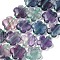 Natural Flower Rainbow Fluorite Beads Strands, 15x5.5mm, Hole: 1mm, about 27pcs/strand, 16.53 inch