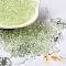 Transparent Colours Glass Seed Beads, Rondelle, Pale Green, 6/0, 4x3mm, Hole: 1.4mm, about 5700pcs/pound