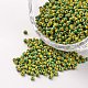 12/0 непрозрачные цвета просачиваться стеклянные бусины SEED-M008-C27-1