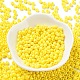 Выпечка краска стеклянные бусины SEED-H002-I-A502-2