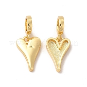 Подвеска из латуни с покрытием из латуни в европейском стиле KK-B068-30G