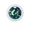 Hexagon Shining Nail Art Decoration Accessories, with Glitter Powder and Sequins, DIY Sparkly Paillette Tips Nail, Green, Powder: 0.1~0.5x0.1~0.5mm, Sequin: 0.5~3.5x0.5~3.5mm, about 0.7g/box