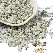 Выпечка краска стеклянные бусины SEED-F006-01A-05