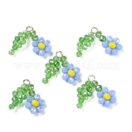 Подвески из стеклянных бусин GLAA-C028-07A-1