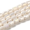 Electroplate Glass Beads Strands, Faceted, AB Color, Column, Old Lace, 4x5~6mm, Hole: 1mm, about 80pcs/strand, 40~48cm