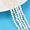 Natural Cultured Freshwater Pearl Beads Strands, Two Sides Polished, Grade 6A+, Seashell Color, 3~4mm, Hole: 0.6mm, about 95~102pcs/strand, 14.17~14.33''(36~36.4cm)