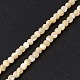 Нити бусин из натуральных трохоидных/трохус ракушек SSHEL-S266-023B-01-2