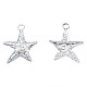 Подвески из нержавеющей стали 201 STAS-N098-230P-1