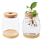 CHGCRAFT 2 pcs Plant Propagation Jars Glass Planter Vase Desktop Plant Terrarium with Wooden Lid and Bamboo Stand for Hydroponic Plants Succulents Cut Flowers Garden Decor, Clear, 4.45x 5.91inch