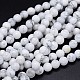 Круглый природных Howlite шарик нити G-F222-14-12mm-1
