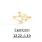 Twelve Constellation Brass Micro Pave Clear Cubic Zirconia Cuff Rings, Golden, Capricorn, Inner Diameter: Adjustable