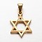 Star of David 304 Stainless Steel Pendants, for Jewish, Golden, 22x16x2mm, Hole: 4x7mm