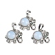 Opalite подвески G-I374-A-P21-1