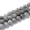 Natural Labradorite Beads Strands, Round, 8mm, Hole: 1.4mm, about 49pcs/strand, 15 inch(38cm)
