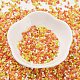 Выпечка краска стеклянные бусины SEED-S042-05B-44-2