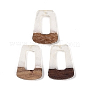 Подвески из смолы и дерева WOOD-F015-11A