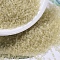 MIYUKI Delica Beads, Cylinder, Japanese Seed Beads, 11/0, (DB0382) Matte Transparent Pale Topaz Luster, 1.3x1.6mm, Hole: 0.8mm, about 2000pcs/10g
