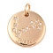 Brass with Clear Cubic Zirconia Pendants, with Jump Rings, Flat Round, Pisces, 15.5x2mm, Hole: 3.5mm